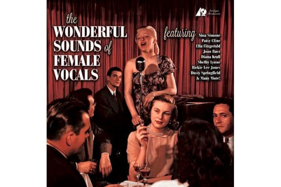 Various Artists - The Wonderful Sounds of Female Vocals (2 LP)